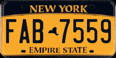 NY license plate FAB7559