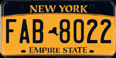 NY license plate FAB8022