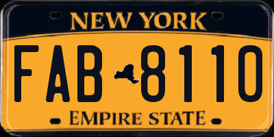 NY license plate FAB8110