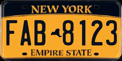 NY license plate FAB8123