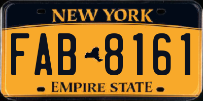 NY license plate FAB8161