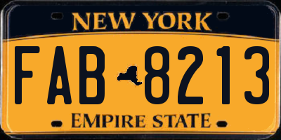 NY license plate FAB8213