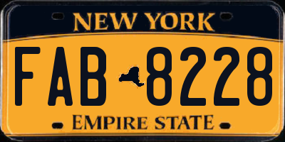 NY license plate FAB8228