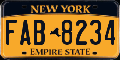 NY license plate FAB8234