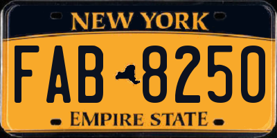 NY license plate FAB8250