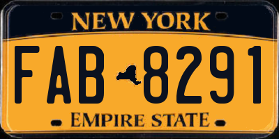 NY license plate FAB8291