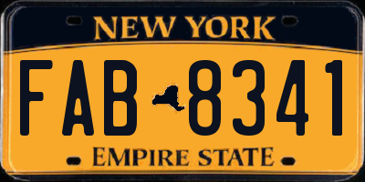 NY license plate FAB8341