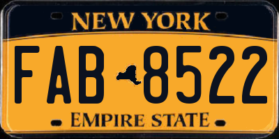NY license plate FAB8522