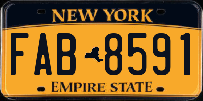 NY license plate FAB8591