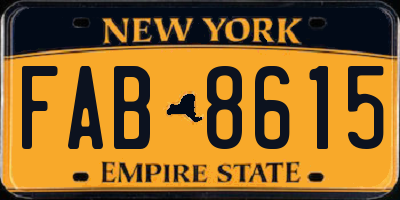 NY license plate FAB8615