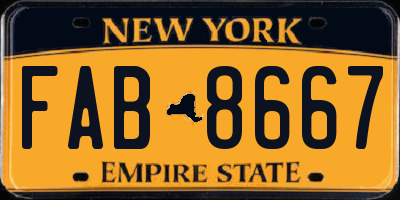 NY license plate FAB8667