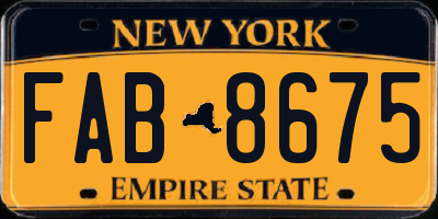 NY license plate FAB8675