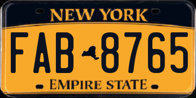 NY license plate FAB8765