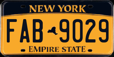 NY license plate FAB9029
