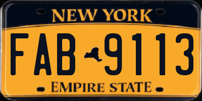 NY license plate FAB9113