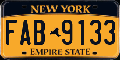 NY license plate FAB9133