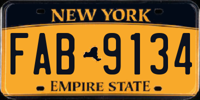 NY license plate FAB9134
