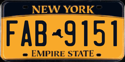 NY license plate FAB9151