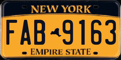 NY license plate FAB9163