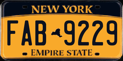 NY license plate FAB9229