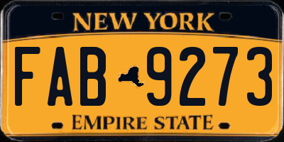 NY license plate FAB9273