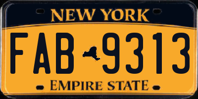 NY license plate FAB9313