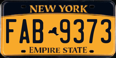 NY license plate FAB9373