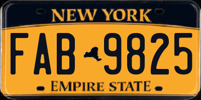 NY license plate FAB9825