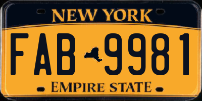 NY license plate FAB9981