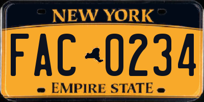 NY license plate FAC0234
