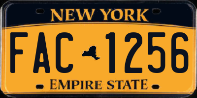 NY license plate FAC1256
