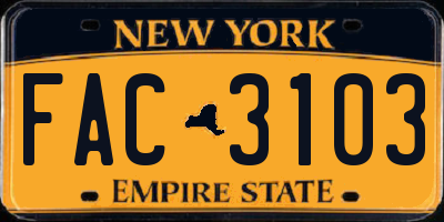 NY license plate FAC3103