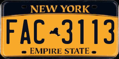 NY license plate FAC3113