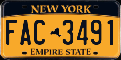 NY license plate FAC3491
