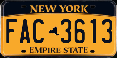 NY license plate FAC3613