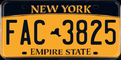 NY license plate FAC3825