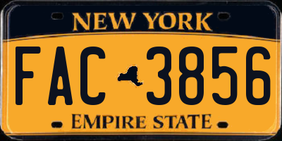 NY license plate FAC3856