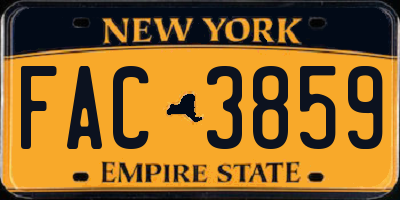 NY license plate FAC3859