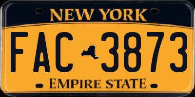 NY license plate FAC3873