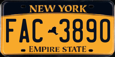 NY license plate FAC3890