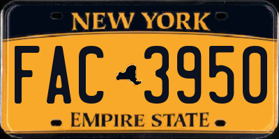 NY license plate FAC3950
