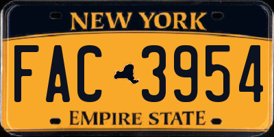 NY license plate FAC3954