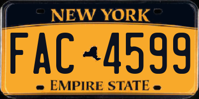 NY license plate FAC4599