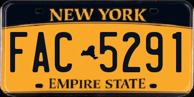 NY license plate FAC5291
