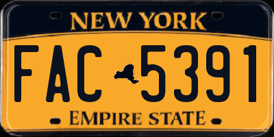 NY license plate FAC5391