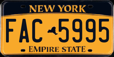 NY license plate FAC5995