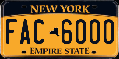 NY license plate FAC6000