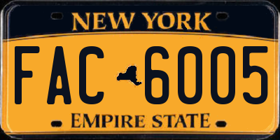 NY license plate FAC6005