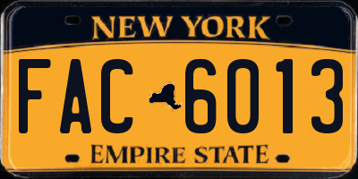 NY license plate FAC6013