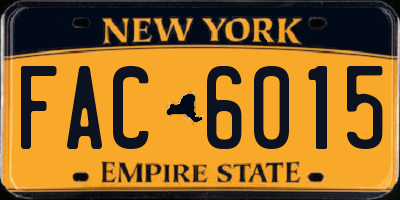 NY license plate FAC6015